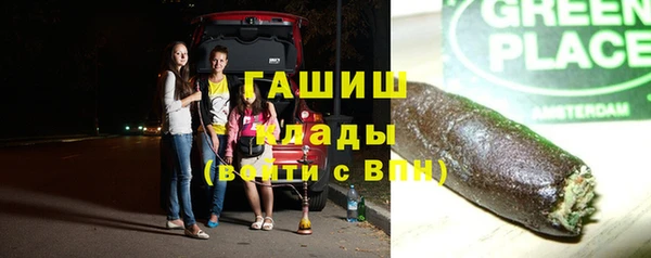 стафф Алзамай