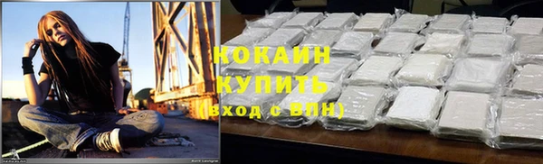 шишки Алексин