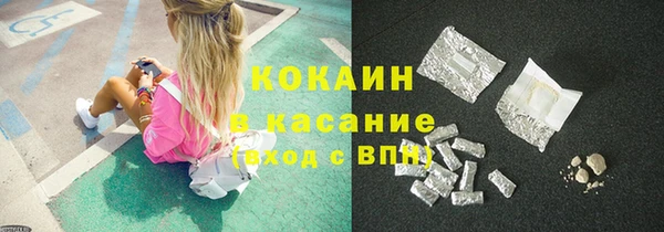 шишки Алексин