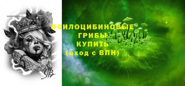 шишки Алексин