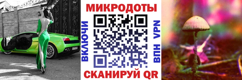 хочу   Тетюши  блэк спрут tor  Галлюциногенные грибы Psilocybe 